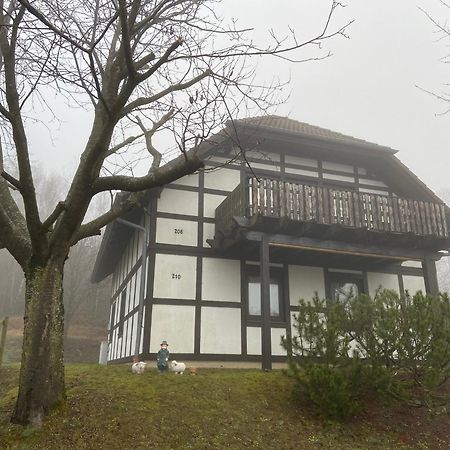 Ferienwohnung Lix Direkt Am Waldrand Frankenau Екстериор снимка